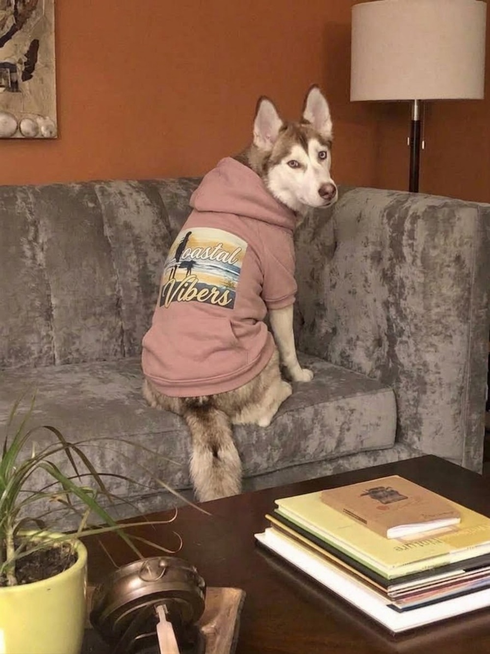 Ready Pink Graphic Dog Hoodie "Let's Walk On The Wild Side" - Sz 3XL fits L/XL